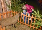 Michal Sláma : Živý Betlém 25.12.2016, Živý Betlém 25.12.2016 - Doubravy